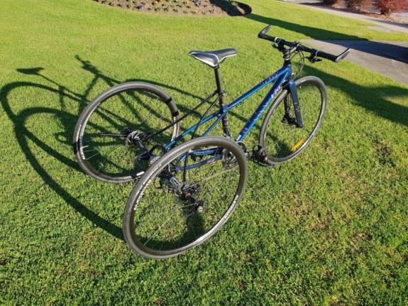 bicycle trike conversion