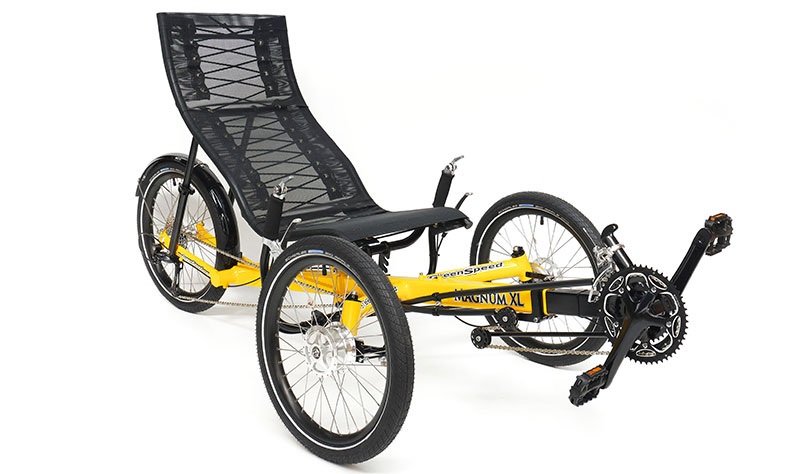 GreenSpeed Magnum XL Recumbent Trike | Trisled